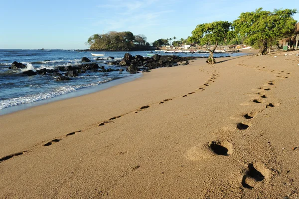 Włoskiej plaży — Zdjęcie stockowe