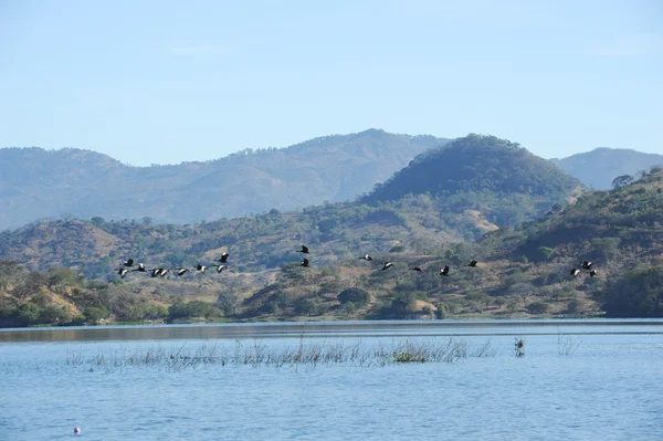 A suchitlan-tó — Stock Fotó