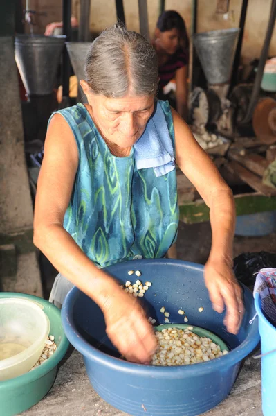 Woman knead corn for tortilla paste at Suchitoto — Stock Photo, Image