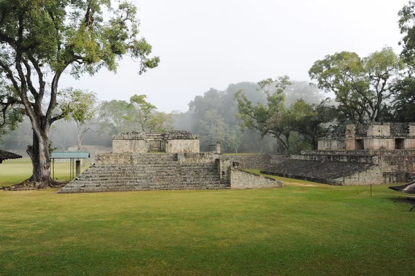 De Maya-ruïnes — Stockfoto