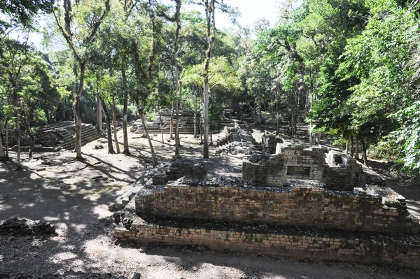 Mayan ruins — Stock Photo, Image