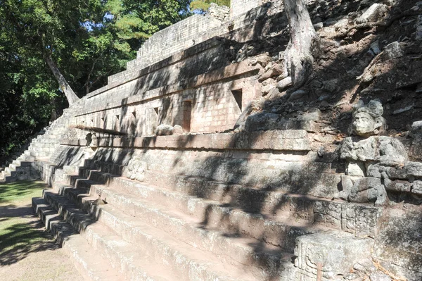 Acropole en ruines mayas — Photo