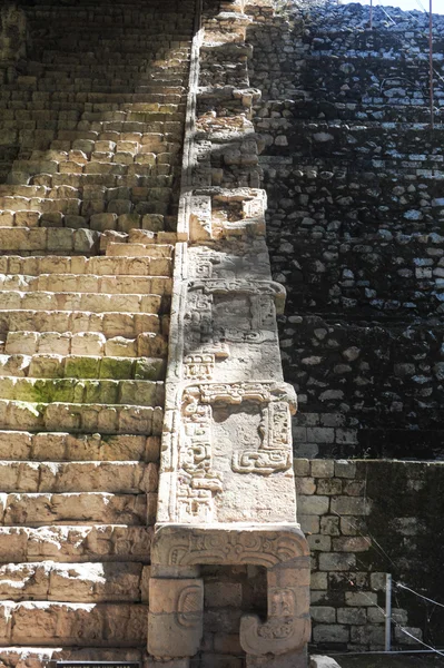 Pasos envejecidos en ruinas mayas —  Fotos de Stock