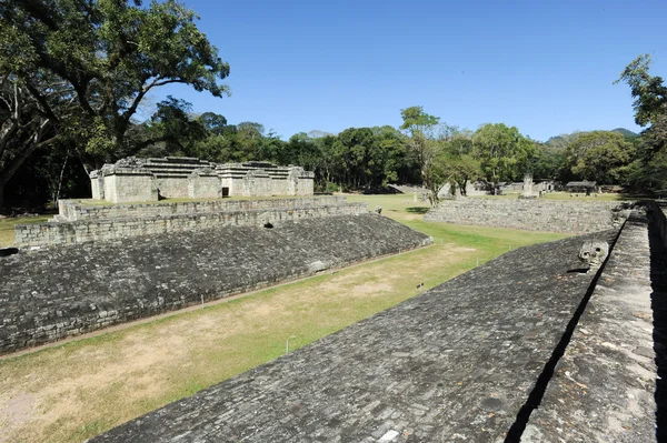 Las ruinas mayas — Foto de Stock