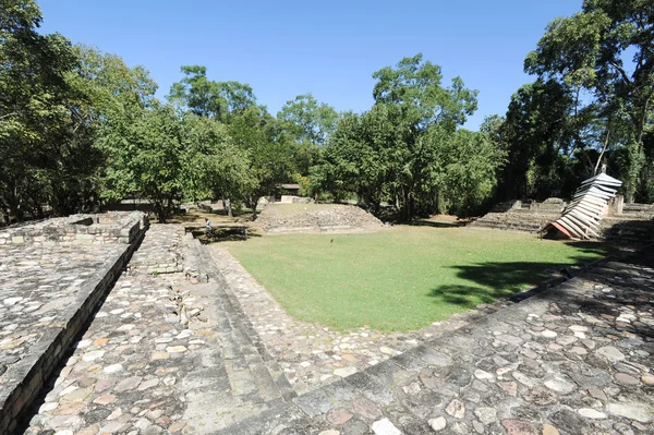 Mayan ruiner — Stockfoto