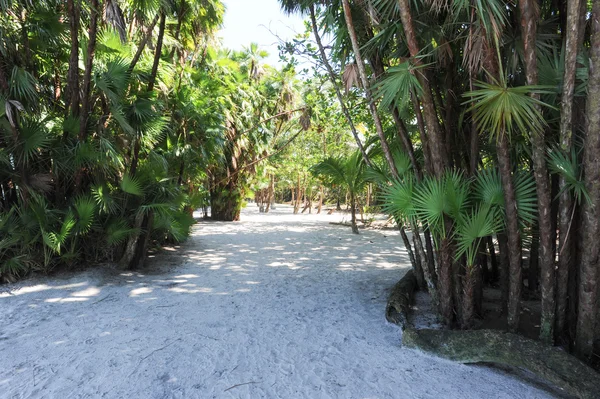 Pláž Playa blanca — Stock fotografie