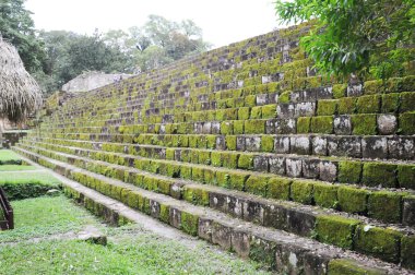 Antik adımlar kaplı moss