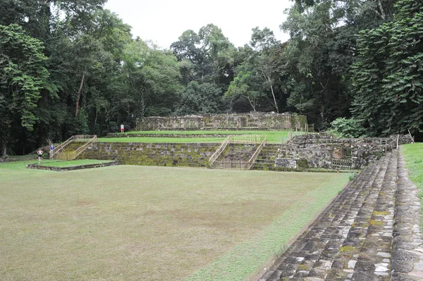 Terytorium archeologicznej Majów — Zdjęcie stockowe