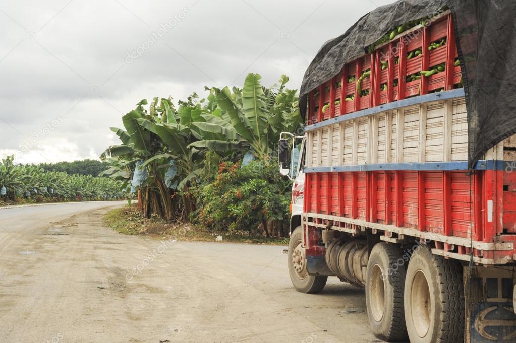camión de plátano — Foto de stock © Fotoember 44340781