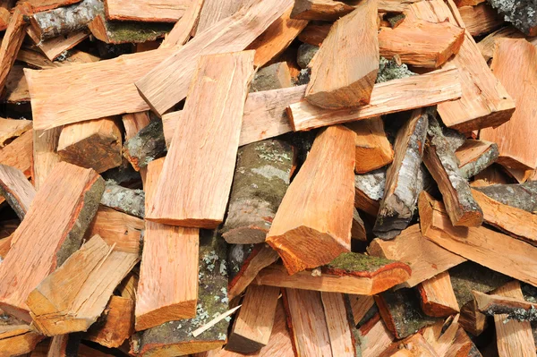 Vielfältiges Holz — Stockfoto