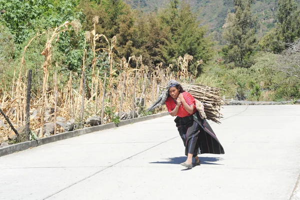 Mulher carregando pedaços de madeira — Fotografia de Stock