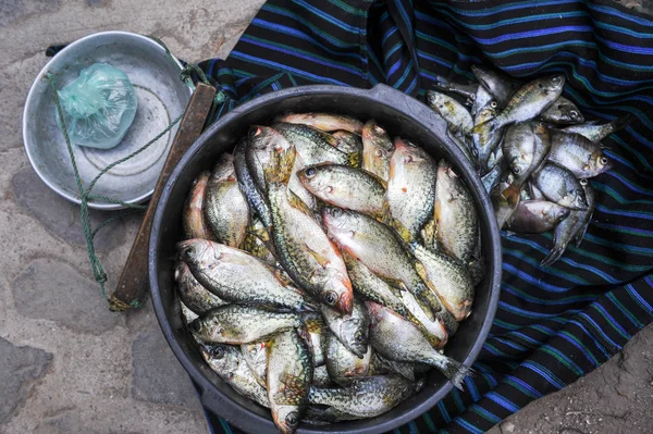 Fischt den Markt — Stockfoto