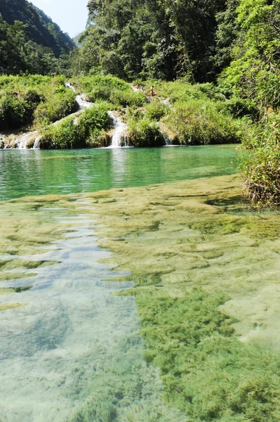 Monumento parque de Semuc Champey — Fotografia de Stock