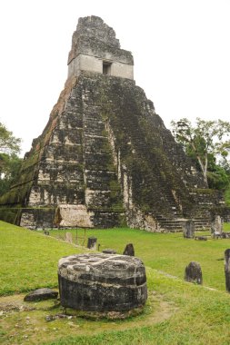 tikal Harabeleri Maya