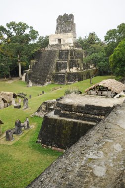tikal Harabeleri Maya