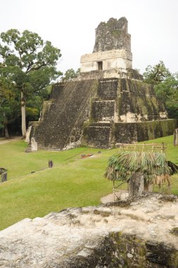 tikal Harabeleri Maya