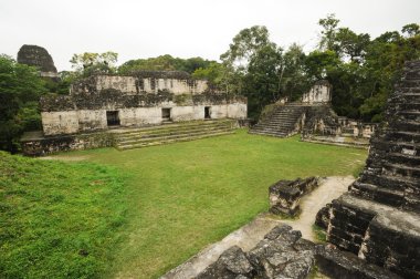 tikal Harabeleri Maya