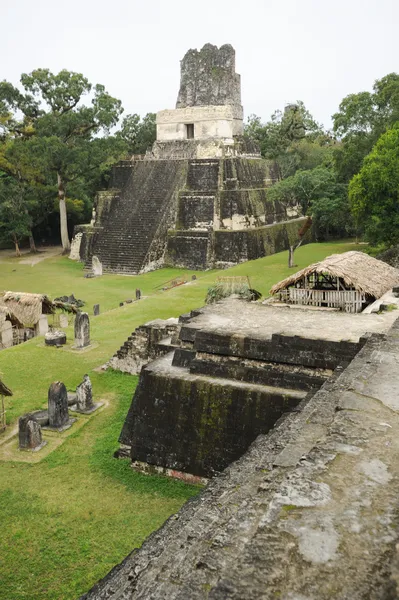 De Maya-ruïnes van tikal — Stockfoto