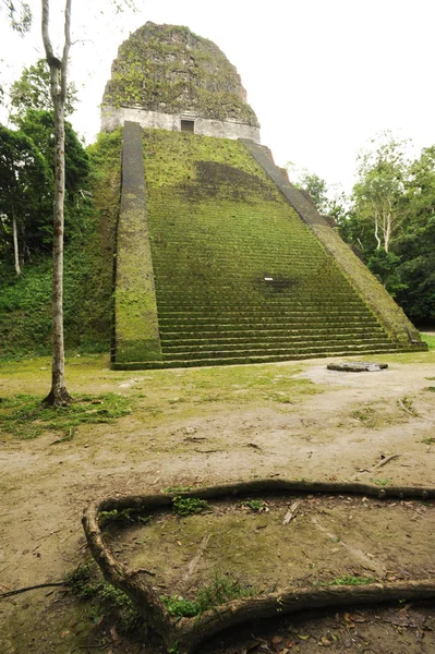 De Maya-ruïnes van tikal — Stockfoto