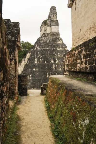 Las ruinas mayas de Tikal —  Fotos de Stock