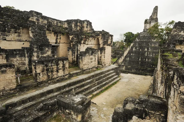 Ruinele mayașe din Tikal — Fotografie, imagine de stoc