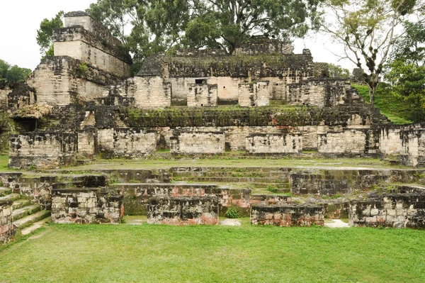 As ruínas maias de Tikal — Fotografia de Stock