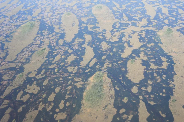 Everglades de Floride près de Miami — Photo