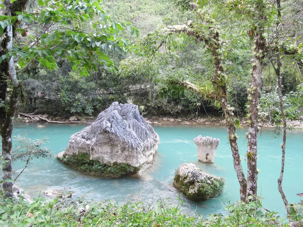 Naturliga monument park av semuc champey på languin — Stockfoto