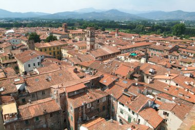 lucca eski kesiminde, genel bakış