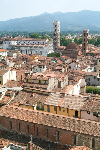 Panoramica nella parte vecchia di Lucca — Foto Stock