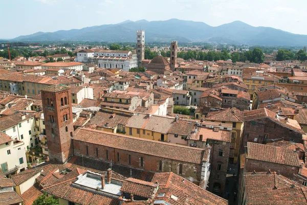 Panoramica nella parte vecchia di Lucca — Foto Stock