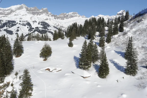 Paisaje invernal de Engelberg — Foto de Stock