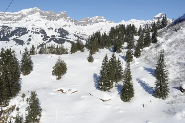 Paisaje invernal de Engelberg — Foto de Stock