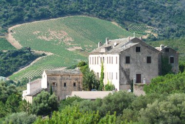 Winery farm at Patrimonio clipart