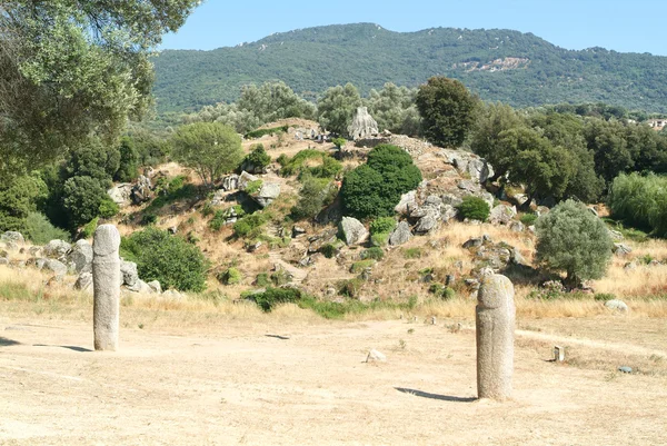 Posągi Menhir w filitosa — Zdjęcie stockowe