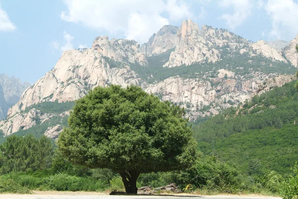 Route vers la colline de Bavella — Photo