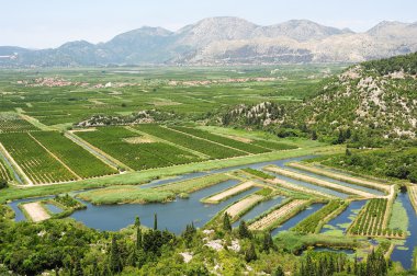  nehir neretvi birlikte tarımsal ürün