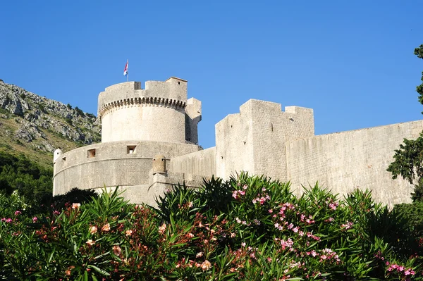 Eski Dubrovnik kasabası — Stok fotoğraf