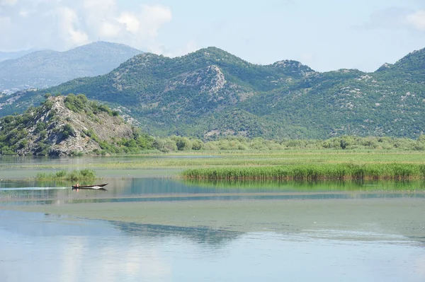 İşkodra Gölü Milli Parkı — Stok fotoğraf