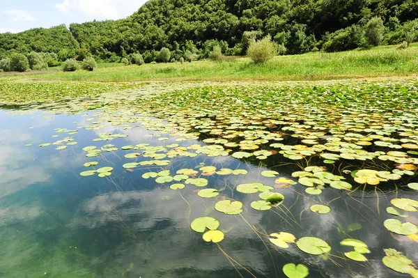 Parco nazionale del Lago di Skadar sul Montenegro — Foto Stock