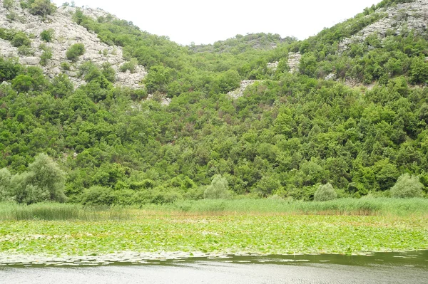 Parco nazionale del Lago di Skadar — Foto Stock