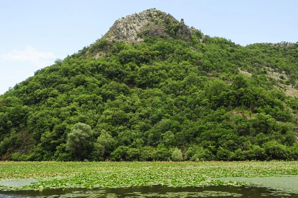 Parque Nacional del Lago Skadar — Foto de Stock