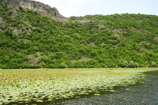 Lago skadar parque nacional — Fotografia de Stock