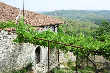 berat, kala Kalesi eski ev
