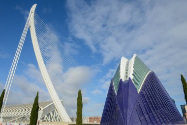 Valencia 'da mimar Santiago Calatrava' nın Sanat ve Bilim Şehri