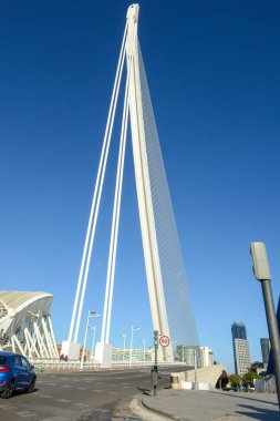 Valencia 'da mimar Santiago Calatrava' nın Sanat ve Bilim Şehri