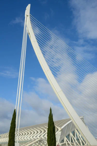 Arkitekten Santiago Calatravas Stad Valencia Spanien — Stockfoto