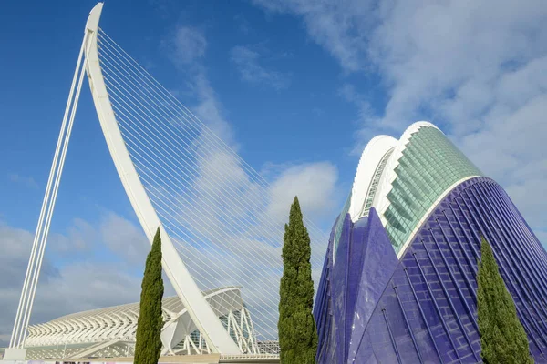 Ciudad Las Artes Las Ciencias Del Arquitecto Santiago Calatrava Valencia — Foto de Stock