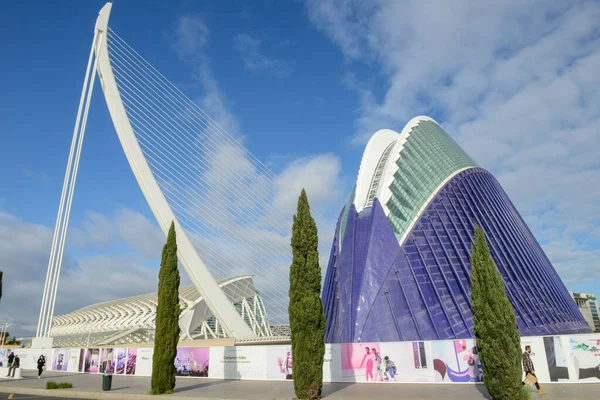 Валенсия Испания Января 2022 Года Город Искусств Наук Архитектора Сантьяго — стоковое фото