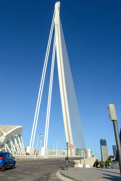 Città Delle Arti Delle Scienze Dell Architetto Santiago Calatrava Valencia — Foto Stock